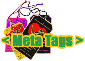 Meta tags for search engine optimization