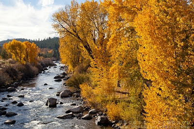 Downtown Truckee Ca