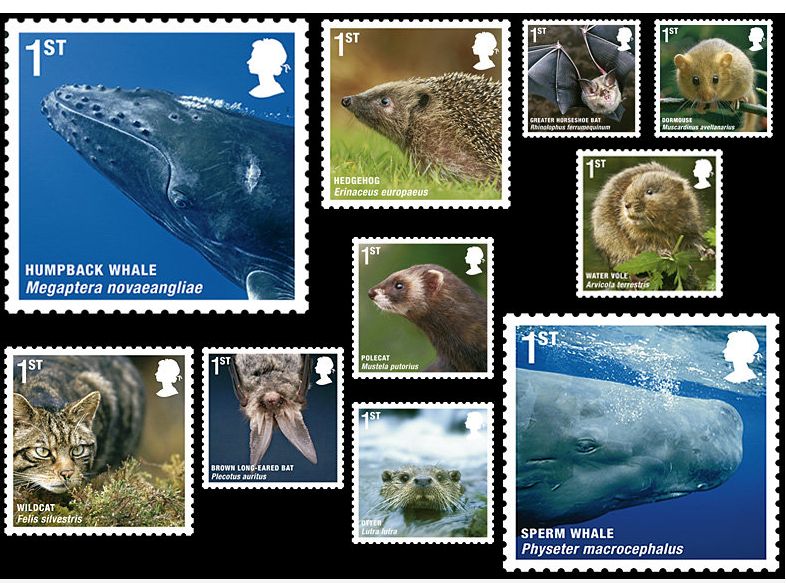 Sharing our Earth with all Species