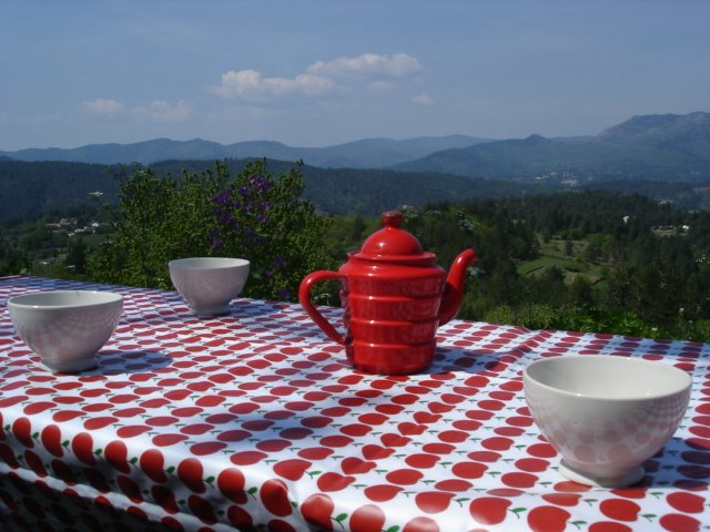 [DSC08317.JPG]