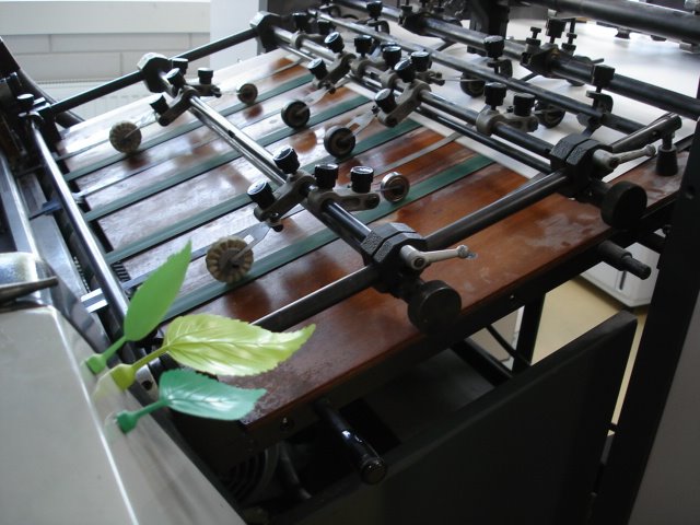 [DSC08858.JPG]