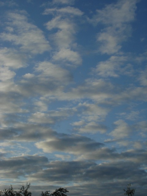 [DSC09247.JPG]