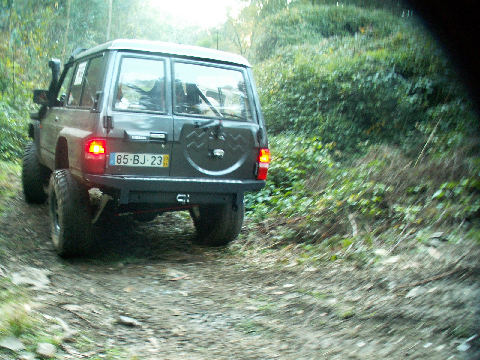[PICT3175.JPG]