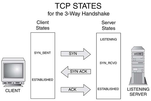 عبقور: شرح الأداة Netstat في نظام ويندوز tcp three way diagram 