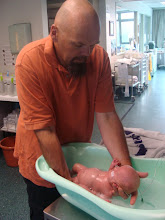 Bath Time With Dad