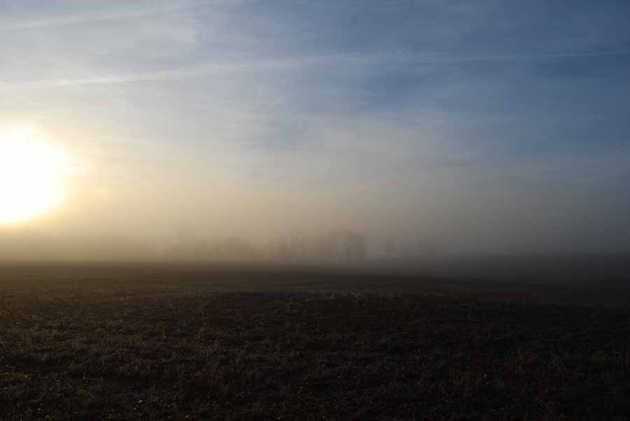 Fog Sky