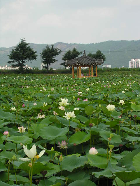 [SSCN0226.JPG]