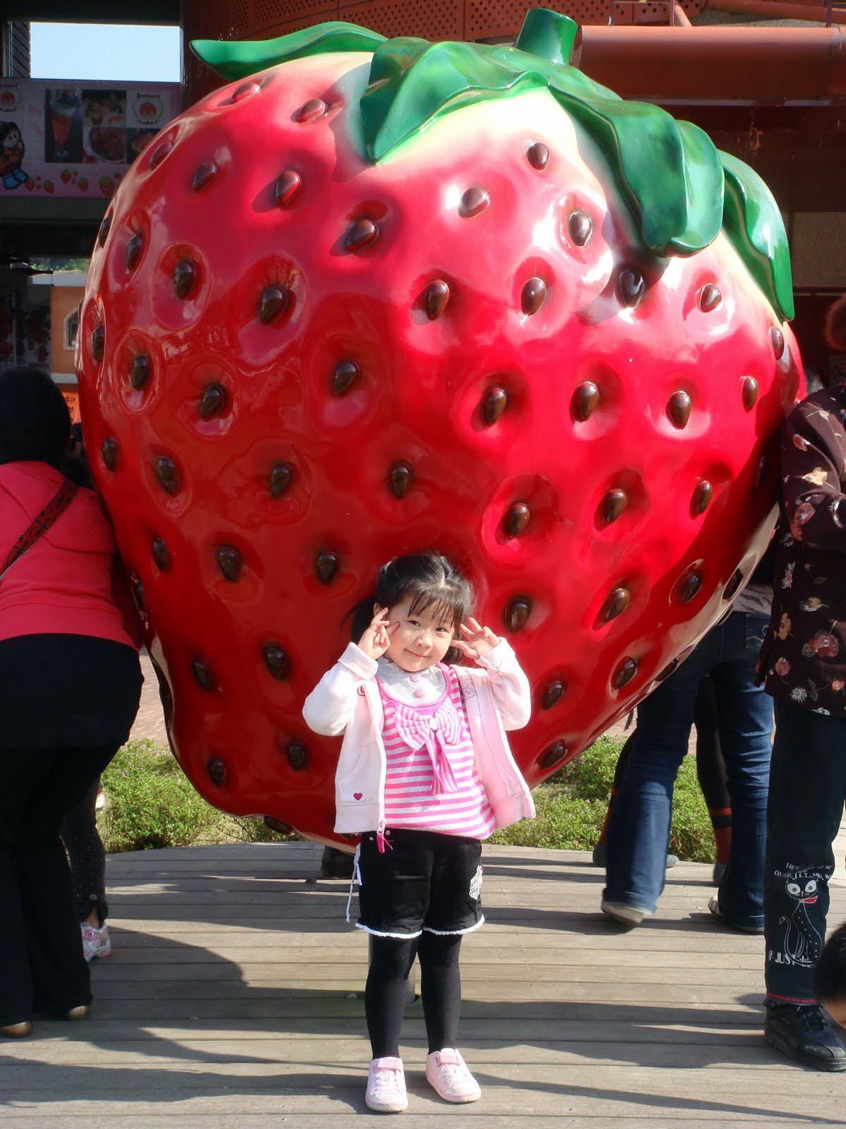 [DSC09576.jpg]