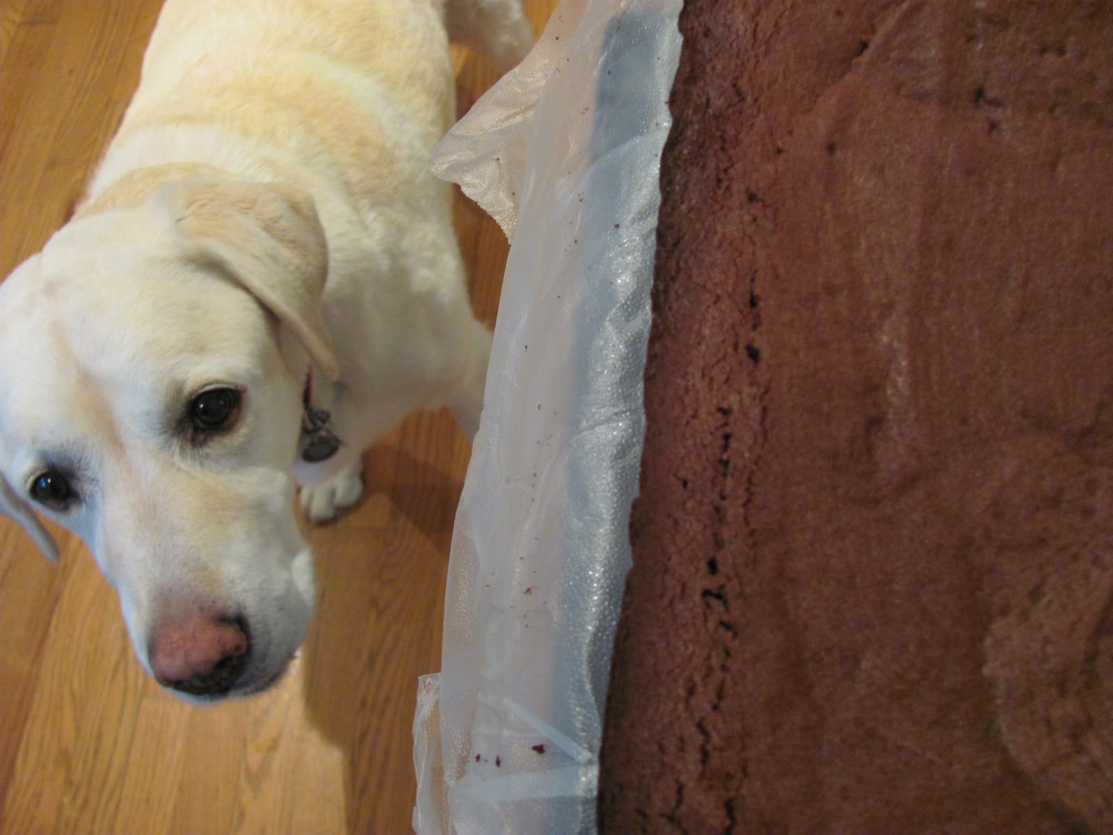 Palm Beach Mocha Brownies mocha brownie recipe That Skinny Chick