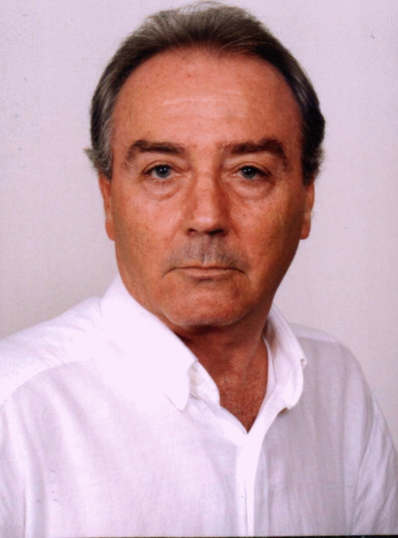 [Fot+-+Nelson+Hoffmann.gif]