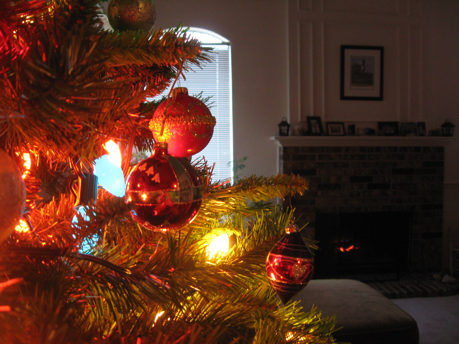 [IMG_6537[1]]