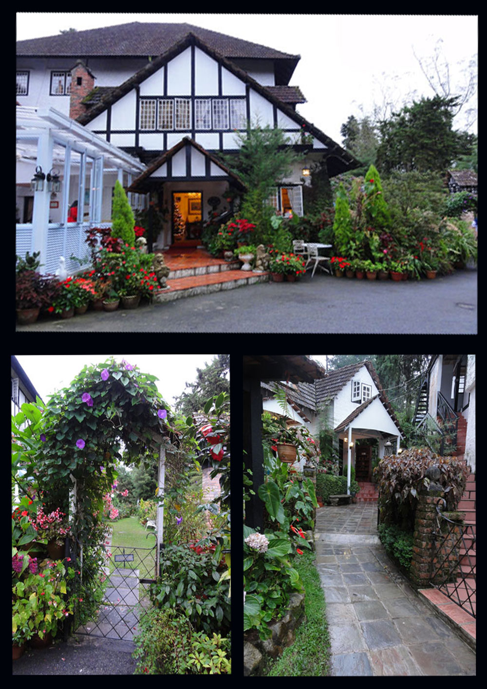 essay about trip to cameron highlands essay about trip to cameron highlands