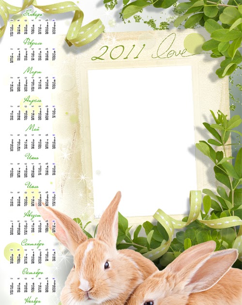 Xing Fu: THE YEAR OF THE RABBIT