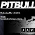 Pitbull Concert in Indonesia