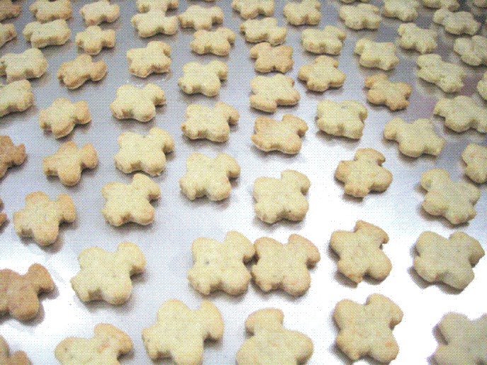 [biscoito_de_gorg4.jpg]