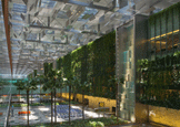 Changi Airport Terminal 3 Interior Landscape
