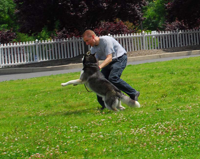 [Brody+leaping+2.jpg]