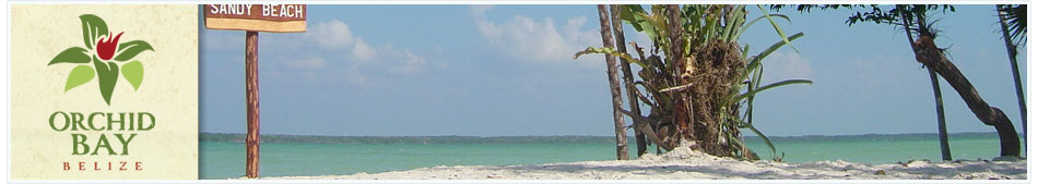 Orchid Bay, Belize