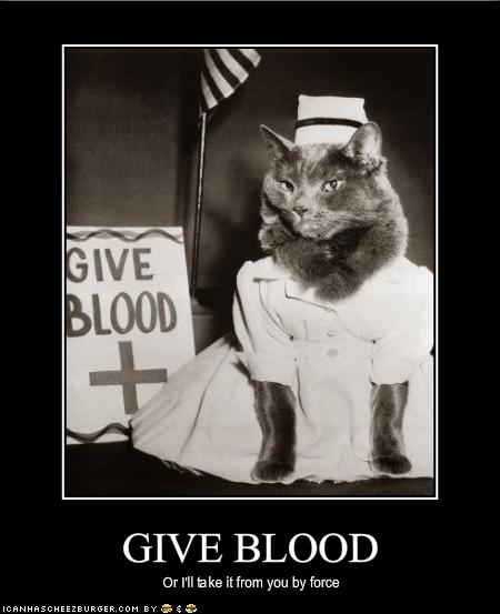 funny-pictures-cat-suggests-you-give-blood1.jpg