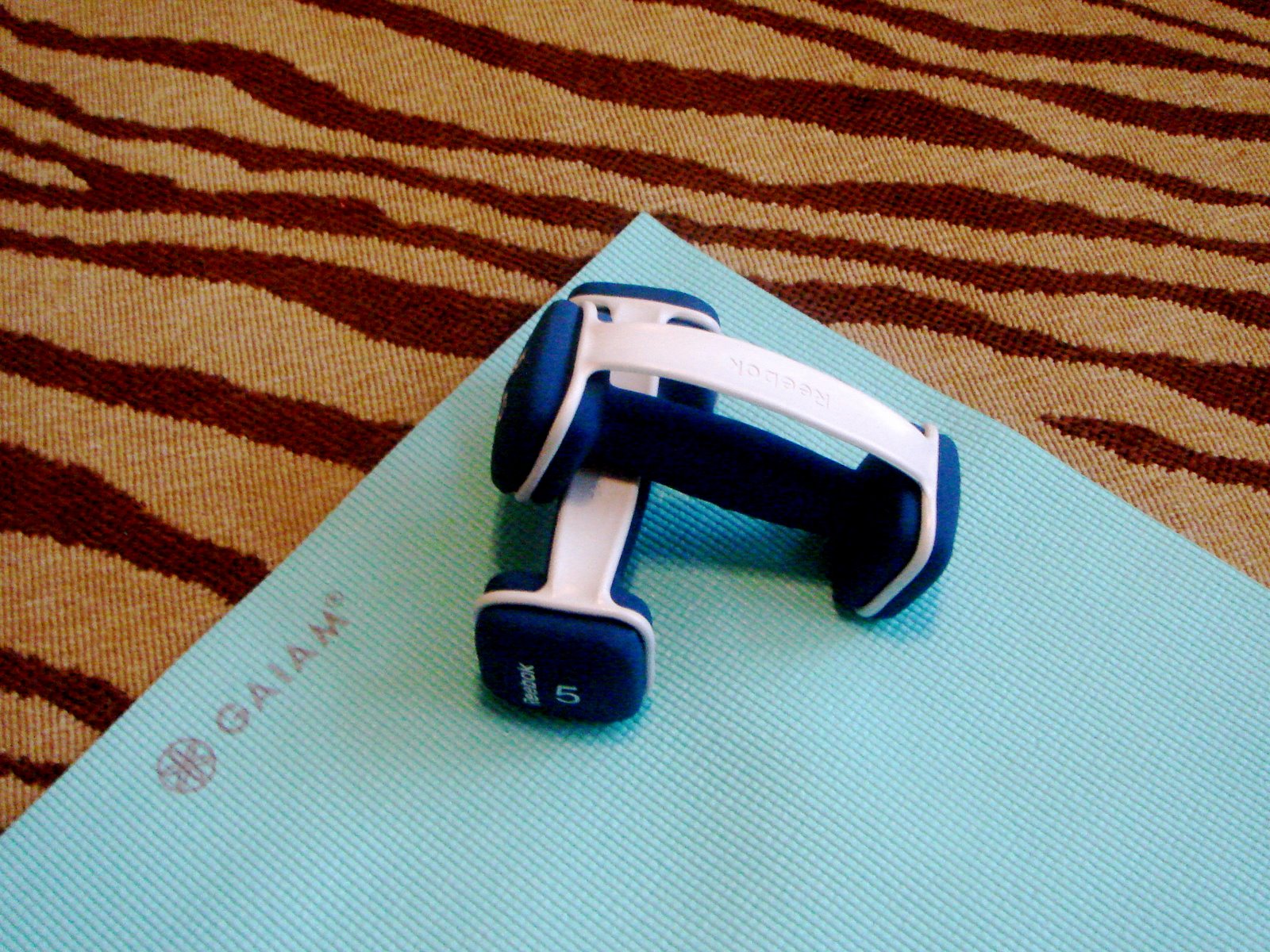 [DSC03777.JPG]