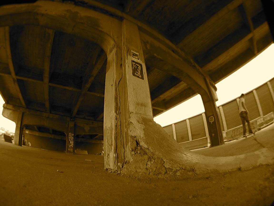 [DSC00008.JPG]