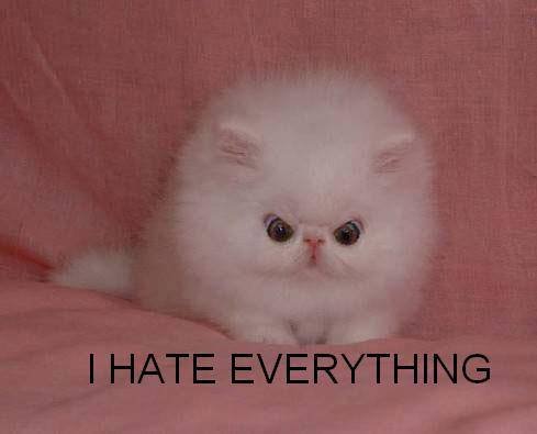 [hate_kitty.bmp]