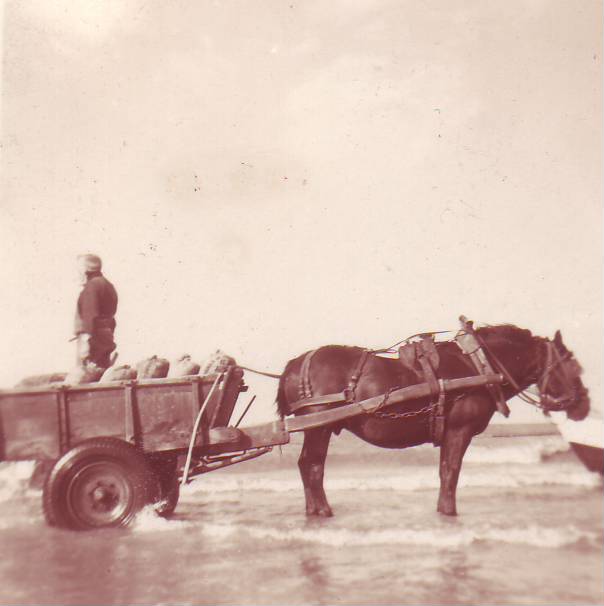 [Image0280.JPG]