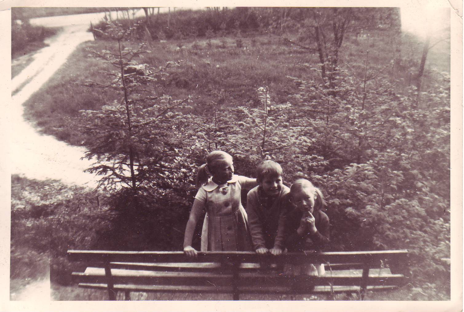 [Image0350.JPG]