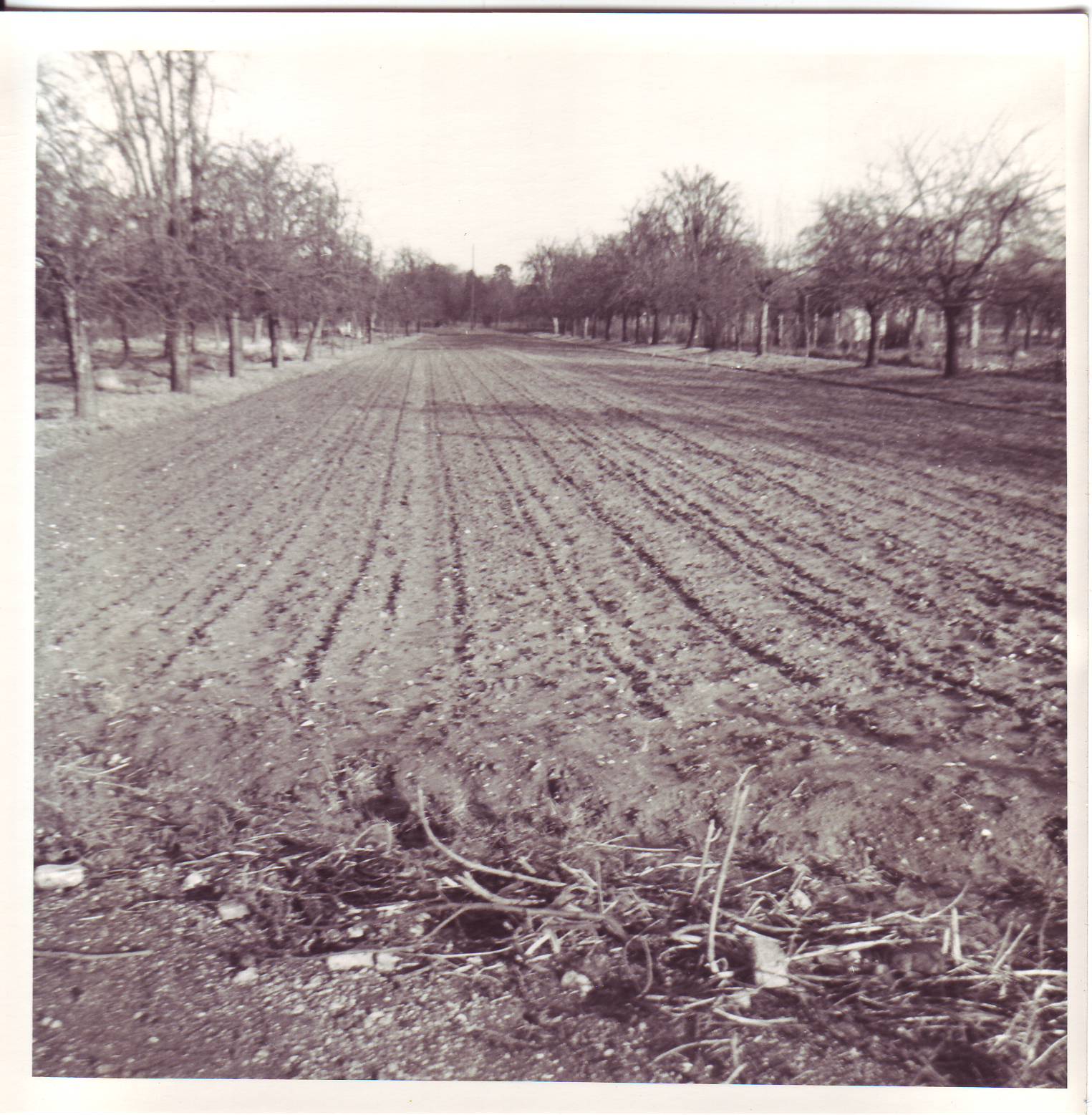 [Image0154.JPG]