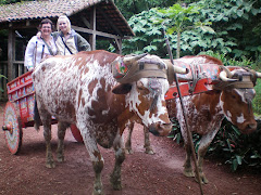 Chairty & Debbi riding the Oxcart