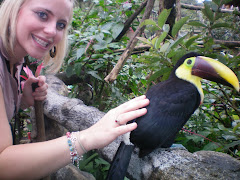 Charity petting a Toucan