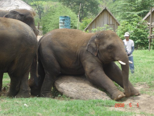 [DSC01576.JPG]
