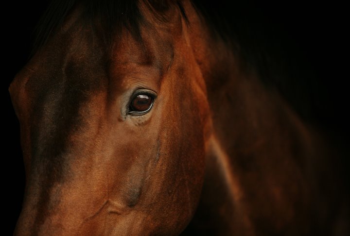 [0808_5107+low+res.jpg]