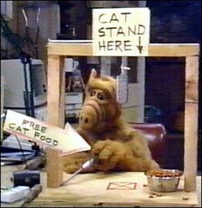 [alf-cat.jpg]