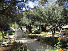 TAMAN GETSEMANI ( OLIVE PRESS )