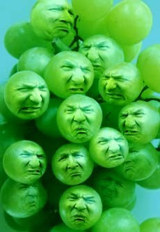 Sour+grapes.jpg