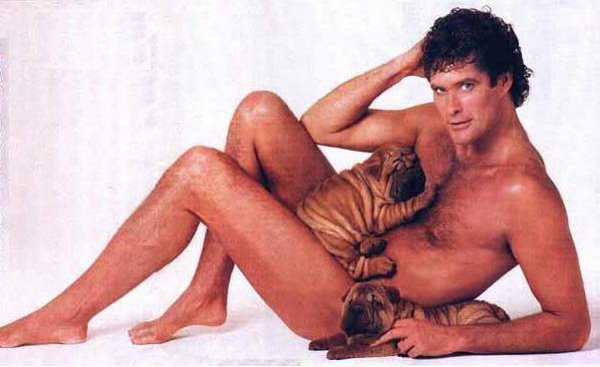 [picHasselHoff-747711.jpg]