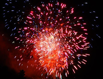 fireworks+in+Albany+033.jpg