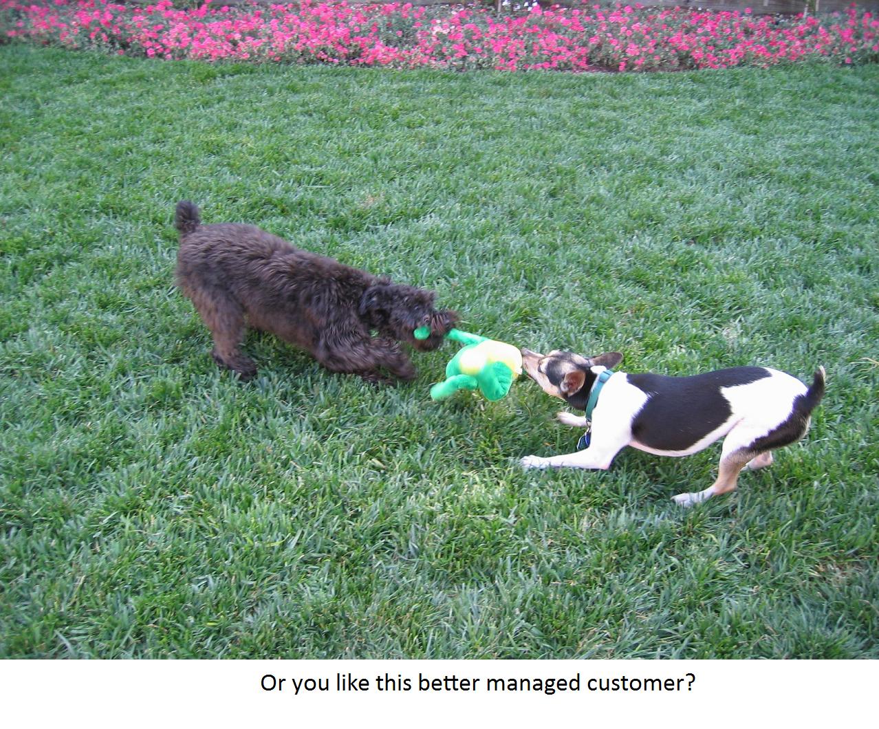 [tug-o-war-apr05.jpg]