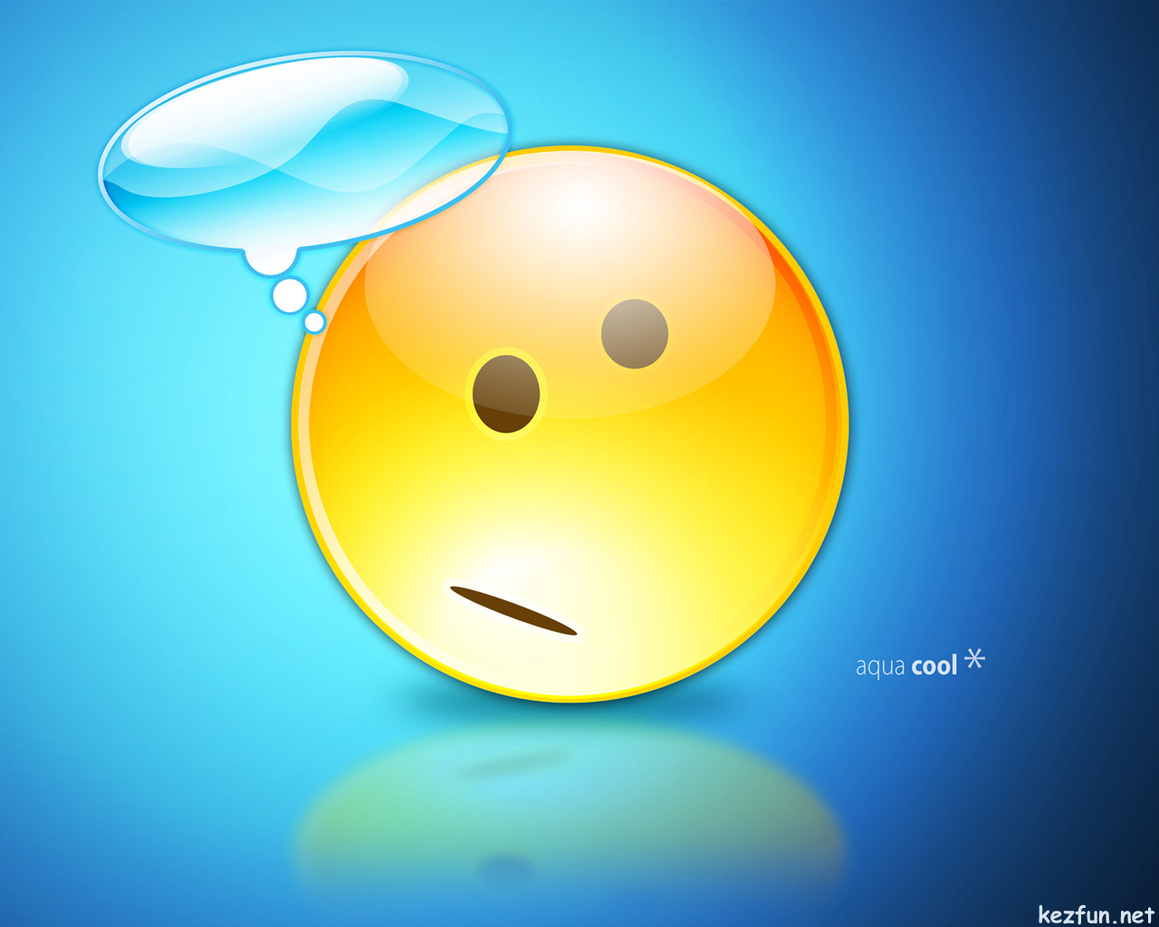 [smiley_vista_1.jpg]