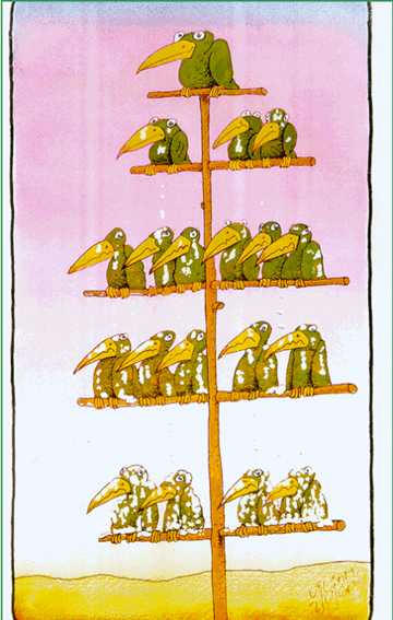 [hierarchy-bird-tree.jpg]