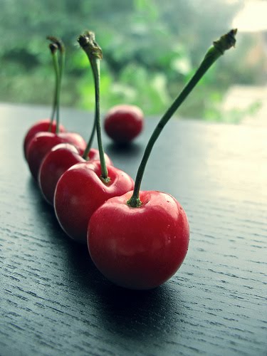 [2565538346_5c71ee15f7.jpg]