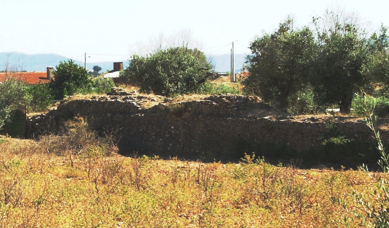 [DSCN0222.JPG]