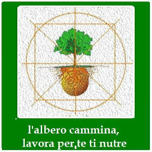 L'ALBERO CAMMINA...