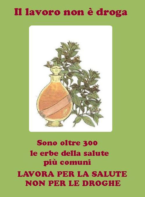 IL_LAVORO_NON_E'_DROGA_YES_HERBS