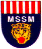 Logo MSSM