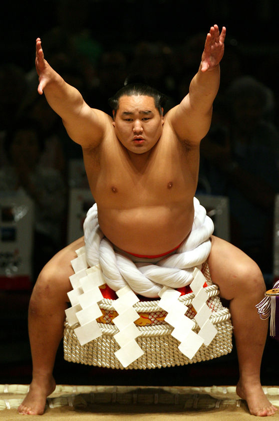[sumo.jpg]