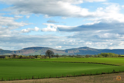 Cleveland Hills from Grey Towers Ingrid Sylvestre North East artist Cleveland Hills from Grey Towers Ingrid Sylvestre North East artist