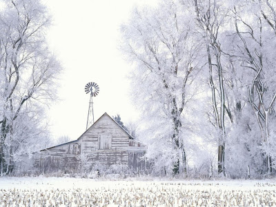 Fotografii Iarna peisaje poze