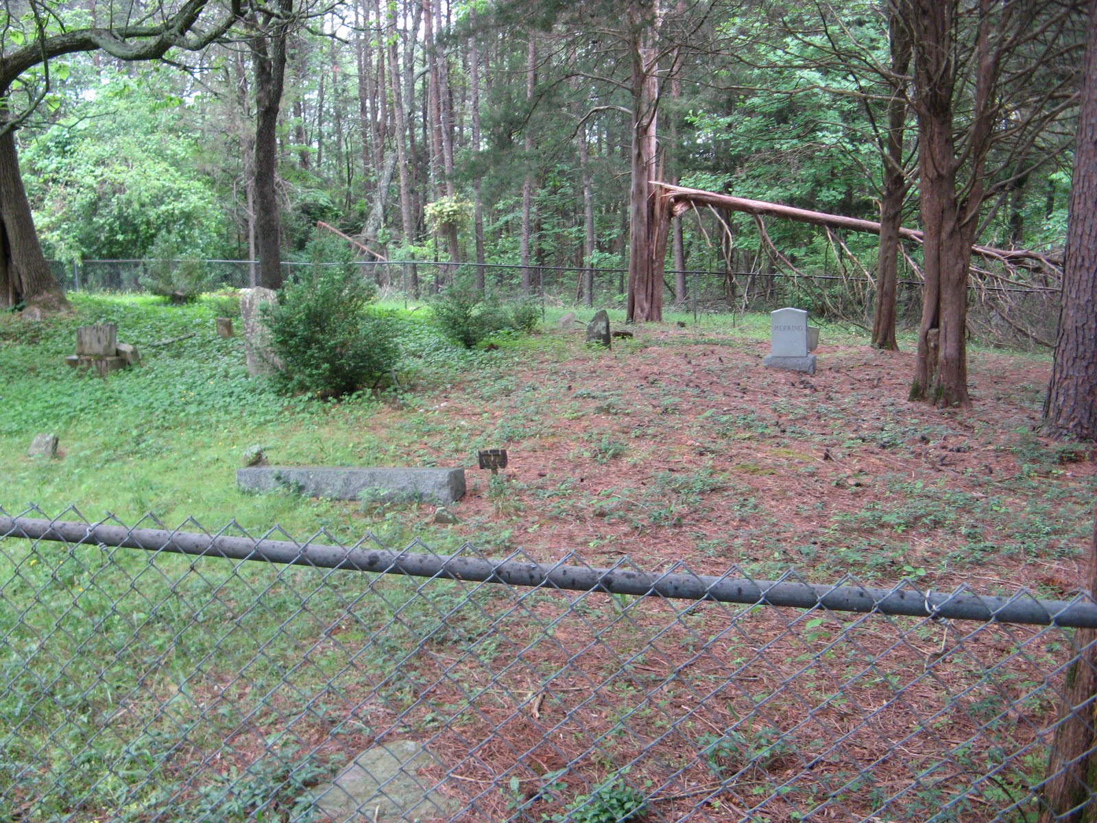 Family Tree Herring Family Cemetery vrogue.co